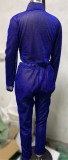 Lurex Shiny High Neck Crop Top and Pants Set