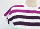 Striped Short Sleeve Knitting Top