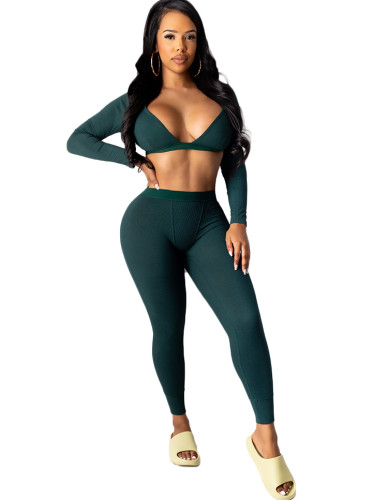 Fitted Crop Top and Pants Sexy Two Piece Set