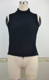 Solid High Neck Sleeveless Knitted Top