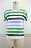 Striped Short Sleeve Knitting Top