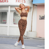 Fitness Leopard Bra Top and High Waist Legging Yoga Set