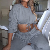 Solid Crop Top and Sweatpants Casual Sports Suits