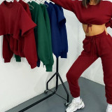 Solid Crop Top and Sweatpants Casual Sports Suits