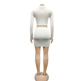 Zipper Long Sleeve Crop Top and Mini Skirt Set