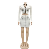 Zipper Long Sleeve Crop Top and Mini Skirt Set