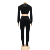 Fitted Velvet Zipped Crop Top and Pants Matching Set