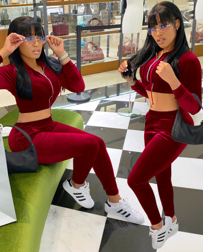 Fitted Velvet Zipped Crop Top and Pants Matching Set