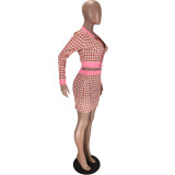 Long Sleeve Plaid Zip Up Crop Top and Matching Mini Skirt Set