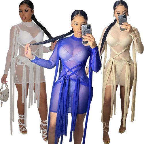 See Through Mesh Solid Long Sleeve Sexy Bodyon Dress