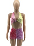Paisley Print Multicolor Halter Bra Top  and Shorts Outfits