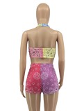 Paisley Print Multicolor Halter Bra Top  and Shorts Outfits