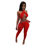 Solid Cross Halter Neck Crop Top and Pants Sexy Matching Set
