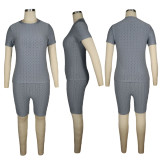 Short Sleeve Textured Tee and Shorts Set