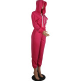 Solid Leisure Zipper Hooded Tracksuit