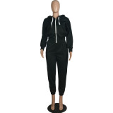 Solid Leisure Zipper Hooded Tracksuit