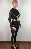Mesh Splicing Sexy Long Sleeve Crop Top and High Waist Pants 2PCS Outfits