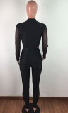Mesh Splicing Sexy Long Sleeve Crop Top and High Waist Pants 2PCS Outfits