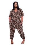 Leopard Print Leisure V Neck Short Sleeve Jumpsuit