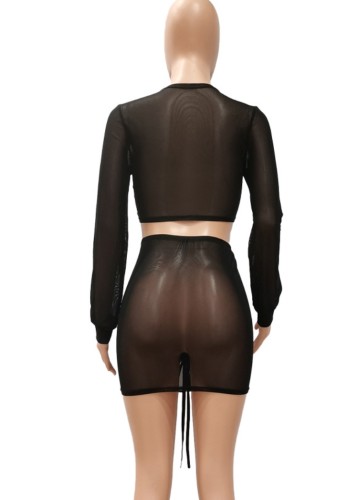 Black Sexy Mesh 2PCS Crop Top and Skirt Bikini Cover Up