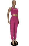 Casual Pink Tank Crop Top and Casual Pants 2PCS Outfits