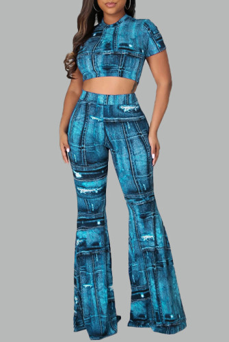 Print Crop Top and High Waist Flare Pants Two Piec Set
