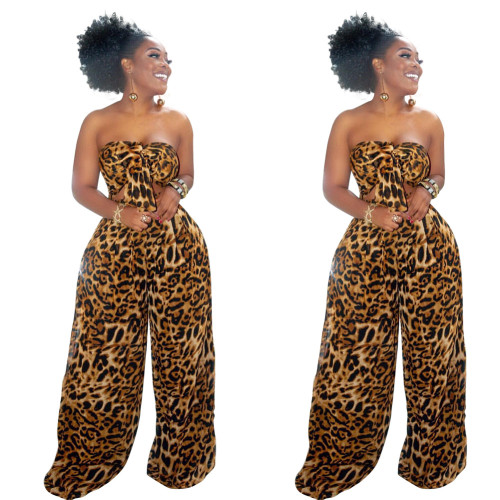 Leopard Bandeau Top and Wide Leg Pants Matching Set