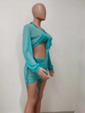 Sexy Bikini with Transparent Skirt Cover Up 4PCS Set