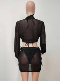 Sexy Bikini with Transparent Skirt Cover Up 4PCS Set