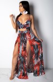 Print Cami Crop Top and Slit Maxi Skirt Set
