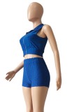 Blue Textured Sleeveless Crop Top and Shorts Sports Suit