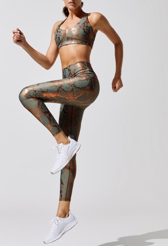 Print Bra and High Waist Leggings Two Piece Yoga Set