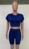Blue Sexy Crop Top and Biker Shorts Two Piece Outfits