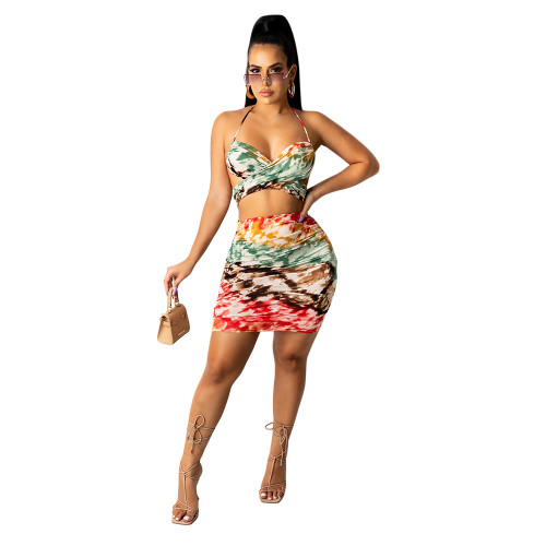 Print Wrap Halter Crop Top and Ruched Skirt 2PCS Set