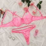 Pink Lace Bra and Pantie Sexy Lingerie Set