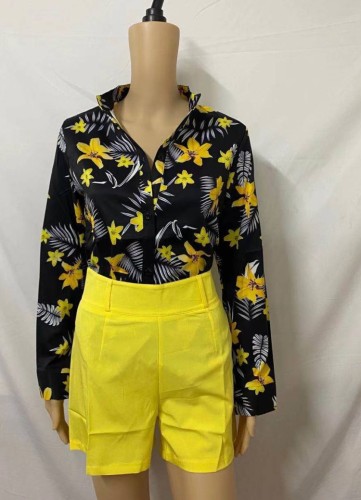Floral Print Blouse and High Waist Solid Shorts 2pcs Set