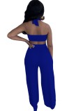 Blue Sexy Bandeau Top and Wide Leg Pants 2PCS Set