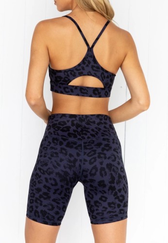 Fitness Leopard Bra and Shorts Gym Two Piece Set