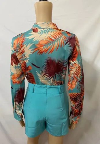 Floral Print Blouse and High Waist Solid Shorts 2pcs Set