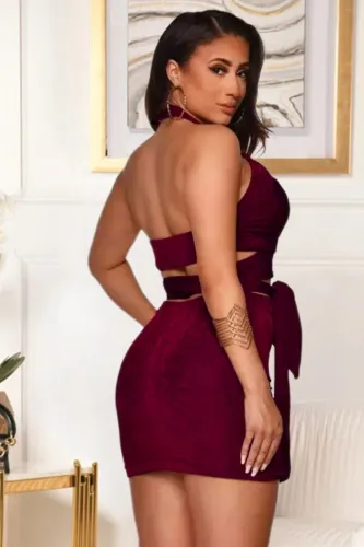 Burgunry Sexy Wrap Halter Tie Crop Top and Mini Skirt Set