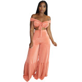 Pink Velvet Off Shoulder Crop Top and Wide Leg Pants 2PCS Set