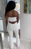 White Sexy Strapless Crop Top and Pants 2PCS Set