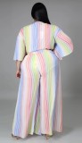 Plus Size Striped Colorful Tie Crop Top and Slit Pants 2PC Set