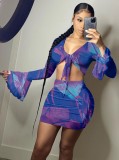 Print Long Sleeve Tie Front Crop Top and Mini Skirt Set