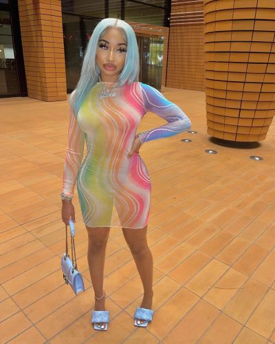Sexy Colorful Print See Through Mesh Long Sleeve Bodycon Dress
