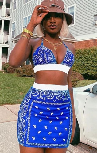 Sexy Blue Print Contrast Panel Bra Top and Mini Skirt Set