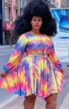 Plus Size Colorful Full Sleeve Skater Dress