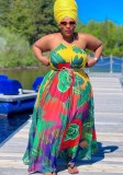 Floral Halter Low Back Plus Size Pleated Maxi Dress