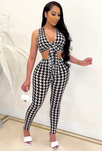 Print Fitted Knotted Crop Top and Pants Two Piece  Set