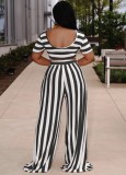 Striped Short Sleeve Crop Top and Wide Leg Pants 2PCS Set